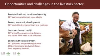 Better lives through livestock: ILRI overview