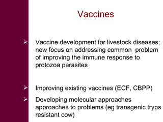 Vaccines   Vaccine development for livestock diseases; new focus on addressing common  problem of improving the immune response to protozoa parasites  Improving existing vaccines (ECF, CBPP) Developing molecular approaches approaches to problems (eg transgenic tryps resistant cow) 