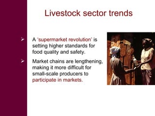 Livestock sector trends  A  ‘supermarket revolution’  is setting higher standards for food quality and safety. Market chains are lengthening, making it more difficult for small-scale producers to  participate in markets. 