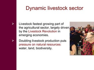 Knowledge to Action: ILRI’s Role in a Changing World