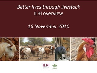 Better lives through livestock
ILRI overview
16 November 2016
 