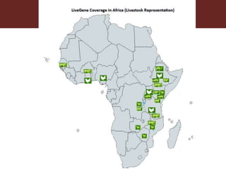 Better lives through livestock: ILRI overview