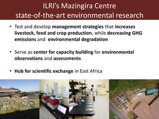 Better lives through livestock: ILRI overview