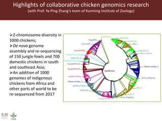 Better lives through livestock: ILRI overview