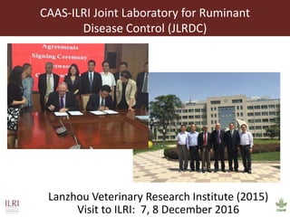 Better lives through livestock: ILRI overview