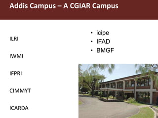 Better lives through livestock: ILRI overview