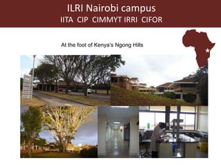 Better lives through livestock: ILRI overview