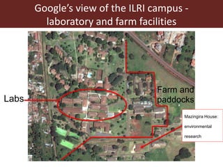 Better lives through livestock: ILRI overview