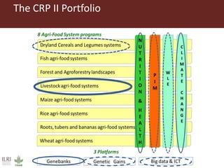 Better lives through livestock: ILRI overview