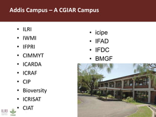 ILRI overview 