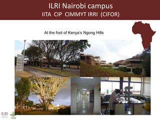 ILRI overview 