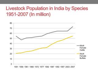 Dairy sector in India: Changing dynamics