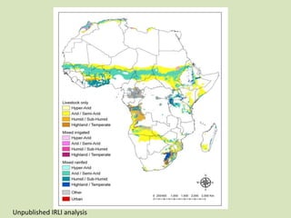 Climate variability and climate change in pastoral systems
