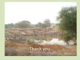 Climate variability and climate change in pastoral systems