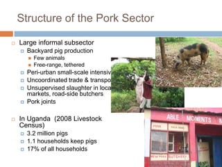 Smallholder pig value chains in East Africa 