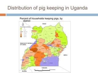 Smallholder pig value chains in East Africa 