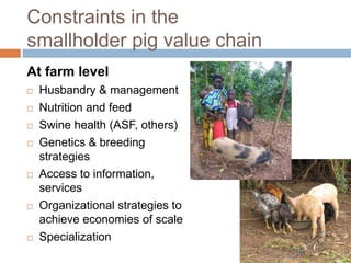 Smallholder pig value chains in East Africa 