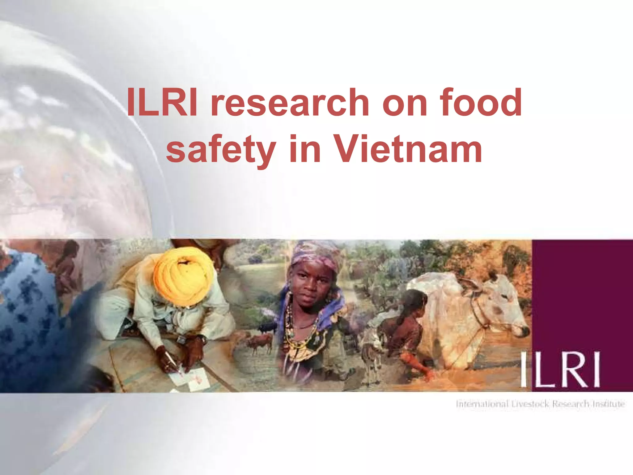 ILRI research on food safety in Vietnam 