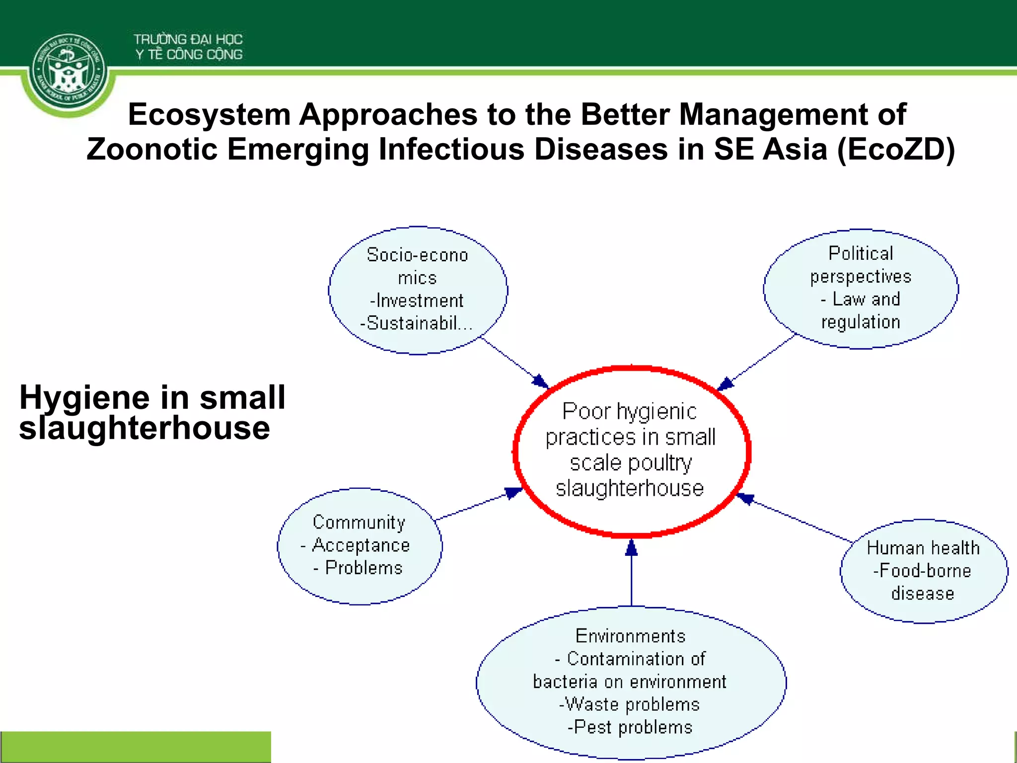 Ecosystem Approaches to the Better Management of  Zoonotic Emerging Infectious Diseases in SE Asia (EcoZD) Hygiene in small slaughterhouse  