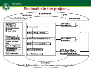 Linking research and management of food safety within One health/ecohealth context in Vietnam: Concepts and applications