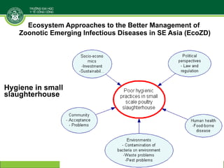 Linking research and management of food safety within One health/ecohealth context in Vietnam: Concepts and applications