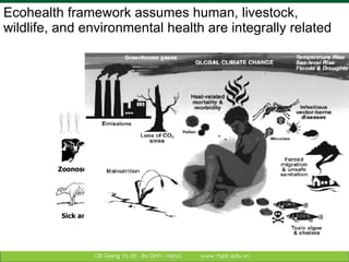 Linking research and management of food safety within One health/ecohealth context in Vietnam: Concepts and applications