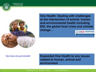 Linking research and management of food safety within One health/ecohealth context in Vietnam: Concepts and applications