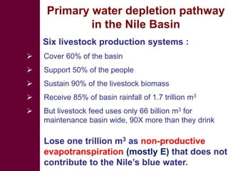 Livestock development for better water use in the Nile Basin