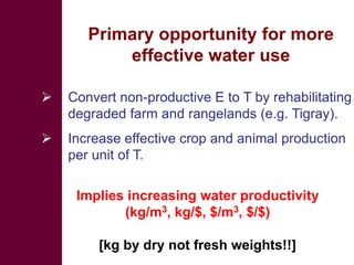 Livestock development for better water use in the Nile Basin
