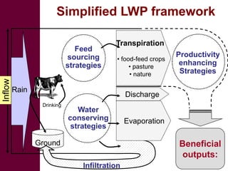 Livestock development for better water use in the Nile Basin