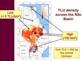 Livestock development for better water use in the Nile Basin