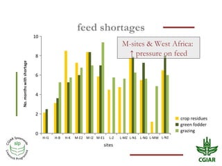 Crop residue use in crop-livestock farms: Challenges and options of mulching in sub-Saharan Africa and South Asia