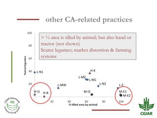 Crop residue use in crop-livestock farms: Challenges and options of mulching in sub-Saharan Africa and South Asia