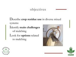 Crop residue use in crop-livestock farms: Challenges and options of mulching in sub-Saharan Africa and South Asia