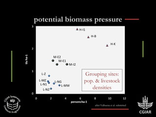 Crop residue use in crop-livestock farms: Challenges and options of mulching in sub-Saharan Africa and South Asia