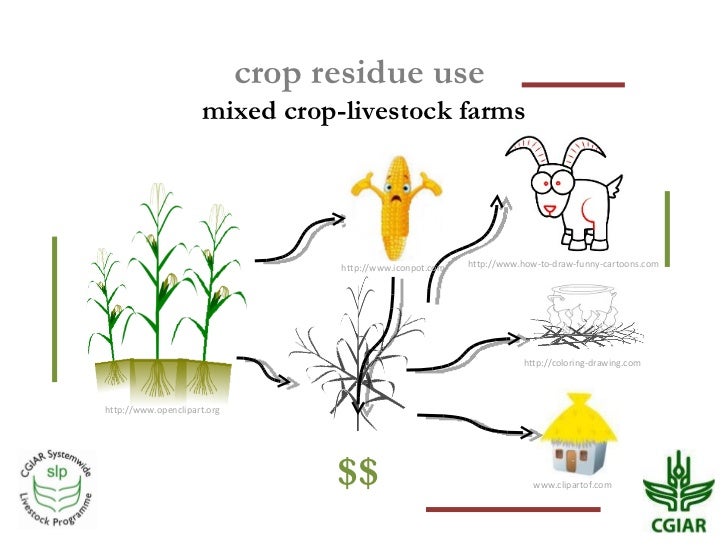 Crop residue use in croplivestock farms Challenges and options of m…