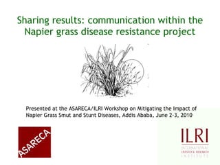 Sharing results: communication within the Napier grass disease resistance project Presented at the ASARECA/ILRI Workshop on Mitigating the Impact of Napier Grass Smut and Stunt Diseases, Addis Ababa, June 2-3, 2010 