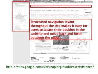 Sharing results: Communication within the Napier grass disease resistance project