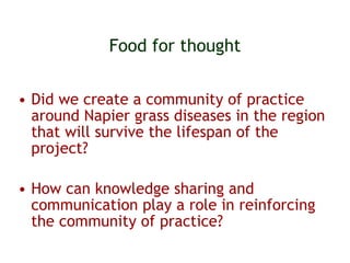 Sharing results: Communication within the Napier grass disease resistance project