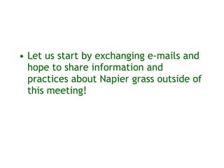 Sharing results: Communication within the Napier grass disease resistance project