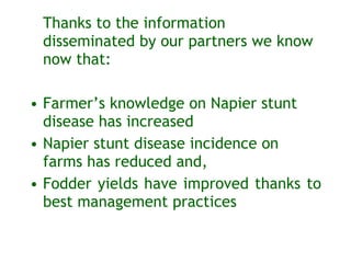 Sharing results: Communication within the Napier grass disease resistance project