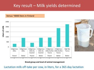 Senegal dairy genetics