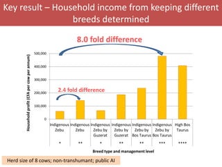 Senegal dairy genetics