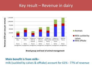 Senegal dairy genetics