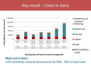 Senegal dairy genetics