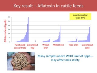 Senegal dairy genetics