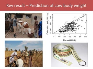 Senegal dairy genetics