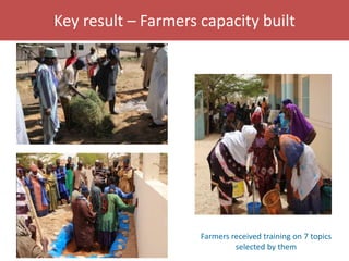 Senegal dairy genetics