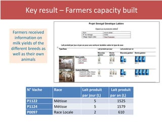 Senegal dairy genetics