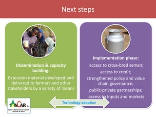 Senegal dairy genetics